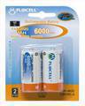 Fujicell NiMH Rechargeable C6000mAh bl2 FHR-4H/C