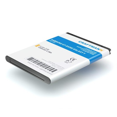    SAMSUNG GT-S5360 GALAXY Y (,  1)