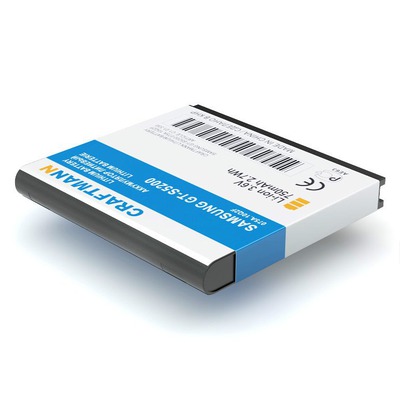    SAMSUNG GT-S5200 (,  1)