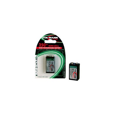   ANSMANN 250 F8