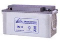  LEOCH DJM 12-120