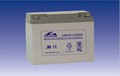  LEOCH DJM 12-50